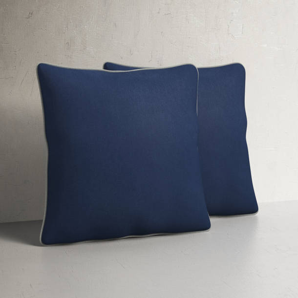 Danforth Indoor/Outdoor Rug & Reviews Birch Lane